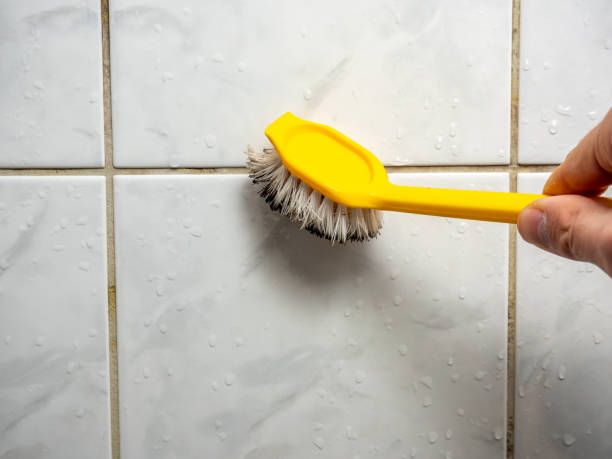 Professional Mold Remediation in Elizabeth, NJ