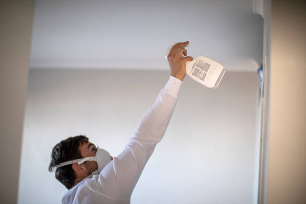 Best White Mold Remediation in Elizabeth, NJ