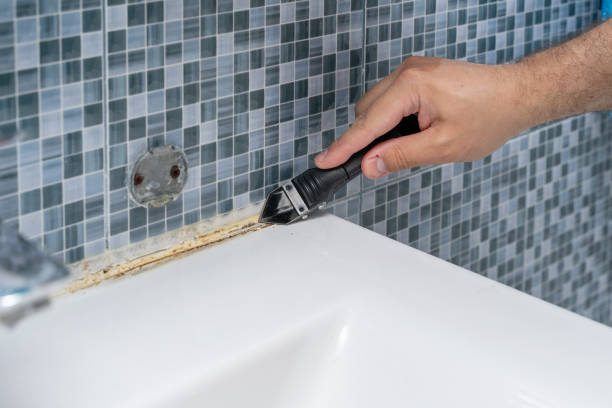 Best Post-Flood Mold Remediation in Elizabeth, NJ